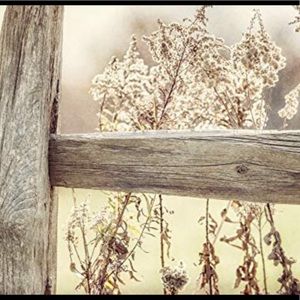 Meet your Posher, Anjanette